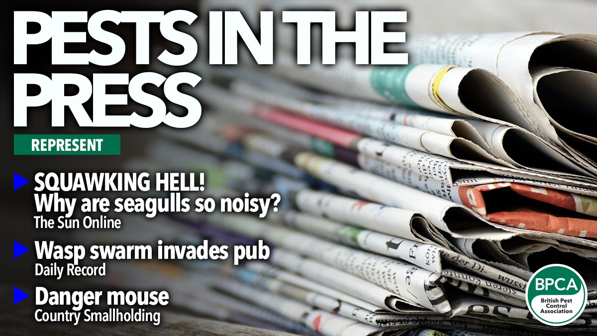 pests in press hero2 pests in press hero2